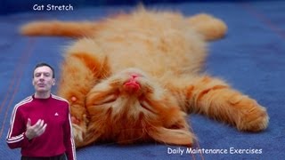 Cat Stretch Daily Exercise for Back Relief to Dance Pain Away [upl. by Caruso433]