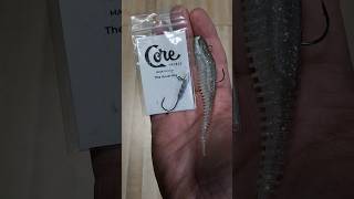 Hover Rig by Core Tackle amp Rapala Freeloader shorts fishing bassfishing lurefishing [upl. by Tutt]