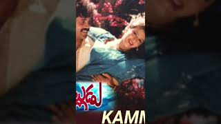 Kammani Vodi Bommani Song WhatsApp status telugu [upl. by Burnaby]