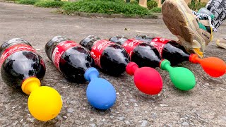 Crushing Crunchy amp Soft Things by Shoe BG DOG reaction  EXPERIMENT Shoes vs Coca Cola Balloon [upl. by Lozano]