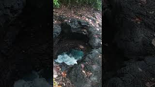 Samoa Upolu mini blowhole short [upl. by Etnuaed]