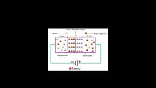 The PN Junction Diode [upl. by Annahsar932]