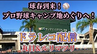 球春到来！⚾️プロ野球キャンプ地めぐりへ！ドラレコ配信！丸目ampルリマツリ【丸目】 [upl. by Jessey]