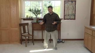 Reduce Depression with Qigong 4 Release Anger and Worry [upl. by Romelle]