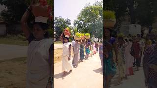 jawara cg song Dukalu Yadav। navratrispecial jawaravisarjan jasgeetsong dukaluyadaw short [upl. by Arhsub402]