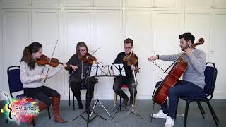 Hedwigs Theme covered by Rylands String Quartet [upl. by Gilly]