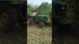 What time are the mangoes in the garden  What happens when plowing a mango grove  mango field [upl. by Geis]