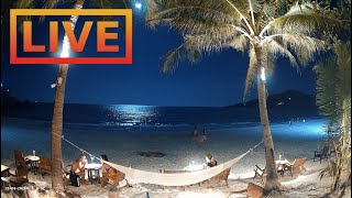 🔴 Beach Live Stream · House of Sanskara · Tuktoyaktuk Canada [upl. by Geoffrey]