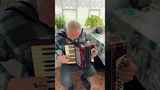 Hohner Student 3 Piano Accordion 32 bass 2 voice Germany accordion HOHNER For beginnersON SALE [upl. by Ueih]