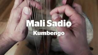 Kora Tutorial Mali Sadio  Kumbengo [upl. by Gnut]