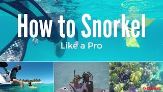 How To Snorkel Like a Pro With These Simple Tips [upl. by Heisel]