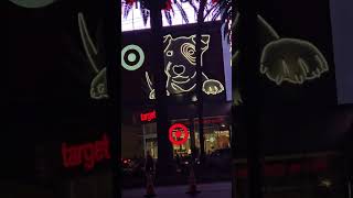 Target dog dog cute target dance shorts viralvideo viralshorts dance [upl. by Sremmus]