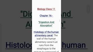 What is Histology of the human alimentary canal [upl. by Arrimat408]