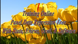 Training Online Panel Data Regression Free With Stata Eviews Gretl R Software [upl. by Gav36]