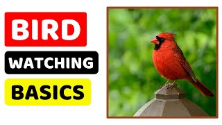 Bird Watching 101 Essential Tips for Beginners  Pet Adventure TV [upl. by Nat]