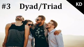 3  Dyad  Triad  Network Analysis in R [upl. by Grussing372]