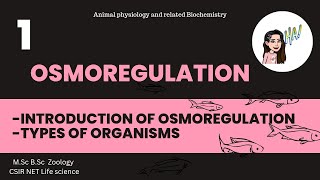 1 Osmoregulation  Stenohaline Euryhaline Osmoconformers Osmoregulators MSc BSc FtFigo pens [upl. by Sidonius]