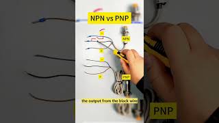 Proximity Sensor 101 NPN vs PNP shorts npn pnp electrician [upl. by Anitsyrhk]