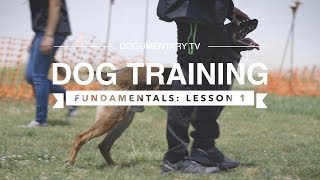 DOG TRAINING FUNDAMENTALS LESSON 1 [upl. by Neehsar]