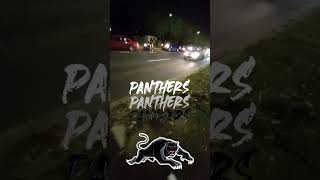 Penrith panthers after grand final win [upl. by Bea]