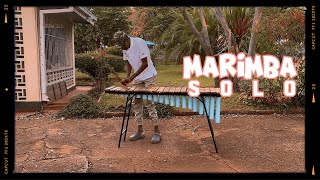 Marimba Solo Music Indigenous to Africa 366 day 34 [upl. by Marashio]