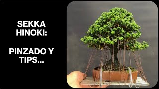 SEKKA HINOKI PINZADO Y TIPS [upl. by Magdaia]