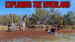 Discover Riverland SA kayaking adventure [upl. by Emily]