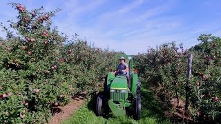 Comment produiton les bonnes pommes au Québec [upl. by Rihat]