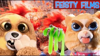 Feisty Pets Being Gross for 7 Minutes Straight [upl. by Acinad]