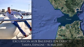 EXCURSION AUX BALEINES Tarifa Espagne  16 mai 2019 [upl. by Lemak]