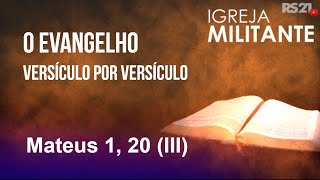 O evangelho versículo por versículo  Mateus 120 III  Igreja Militante  15012023 [upl. by Lemay]