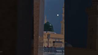 Kali Billi Palne Se Nahusat Aati Haitrending facts quranquran islamicshorts motivation [upl. by Ogeid]