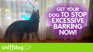 How to Get Your Dog or Puppy to Stop Barking at Home [upl. by Bay]