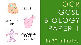 All of OCR BIOLOGY Paper 1 in 30 minutes  GCSE Science Revision Gateway [upl. by Schuman]