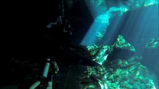 Chac Mool Cenote Dive [upl. by Jarrid]