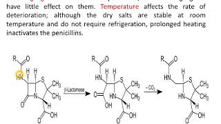 BLactams part 2 penicillins [upl. by Htor930]