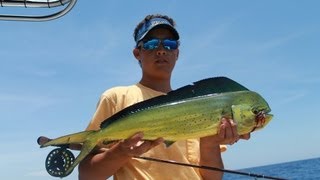 Fly Fishing for Mahi Mahi or Dolphin [upl. by Drofliw155]