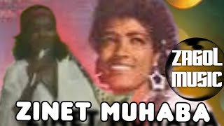 ዚነት ሙሃባ አንተ ልጅ ናልኝ  zinet Muhaba Ante lij Nalign [upl. by Chucho]