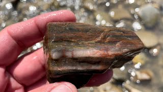 Rockhounding Taylor Creek Montana ￼ [upl. by Daloris748]