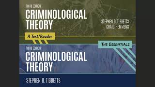 The Chicago School and Subcultural Theories of Criminality [upl. by Cristina]