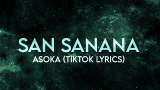 San Sanana  Asoka Shah Rukh Khan Kareena Kapoor Full Lyrics TikTok makeup trend [upl. by Daniele822]