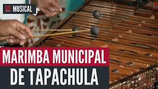 Marimba Municipal de Tapachula Chiapas en el 9° Festival Internacional de Marimbistas [upl. by Trina]