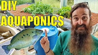 Starting an Aquaponics System  How to Start amp What You Need [upl. by Eelah]