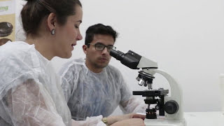 Curso de Tratamento de Efluentes  MO 03 Microbiologia de Lodos Ativados [upl. by Fretwell]