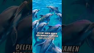 🐬 Geheimnisse der Delfine 🌊💙 facts [upl. by Oika]