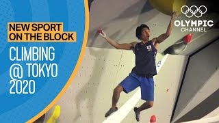 Sport Climbing  Tokyo 2020  New Sport on the Block [upl. by Uaerraj]