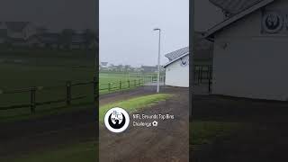 officialnifl Grounds Smallest Top Bin Challenge Ground 1  Portstewart FC topbins NIFL [upl. by Kcirnek]