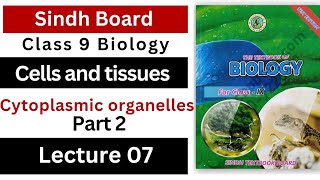 cytoplasmic organelles  cells and tissues  class 9th biology Sindh board new book [upl. by Yelsehc]