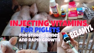 PAANO MAG INJECT BELAMYL NG IMFOR PIGLETSVlog664belamylvitaminsbcomplexpigletspongsetras [upl. by Staci]