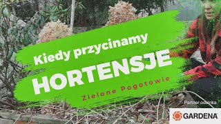 Kiedy przycinamy hortensje [upl. by Pascia]